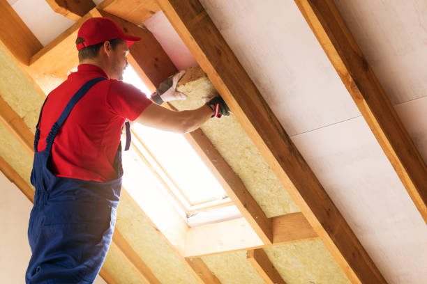 Types of Insulation We Offer in Malden, MA